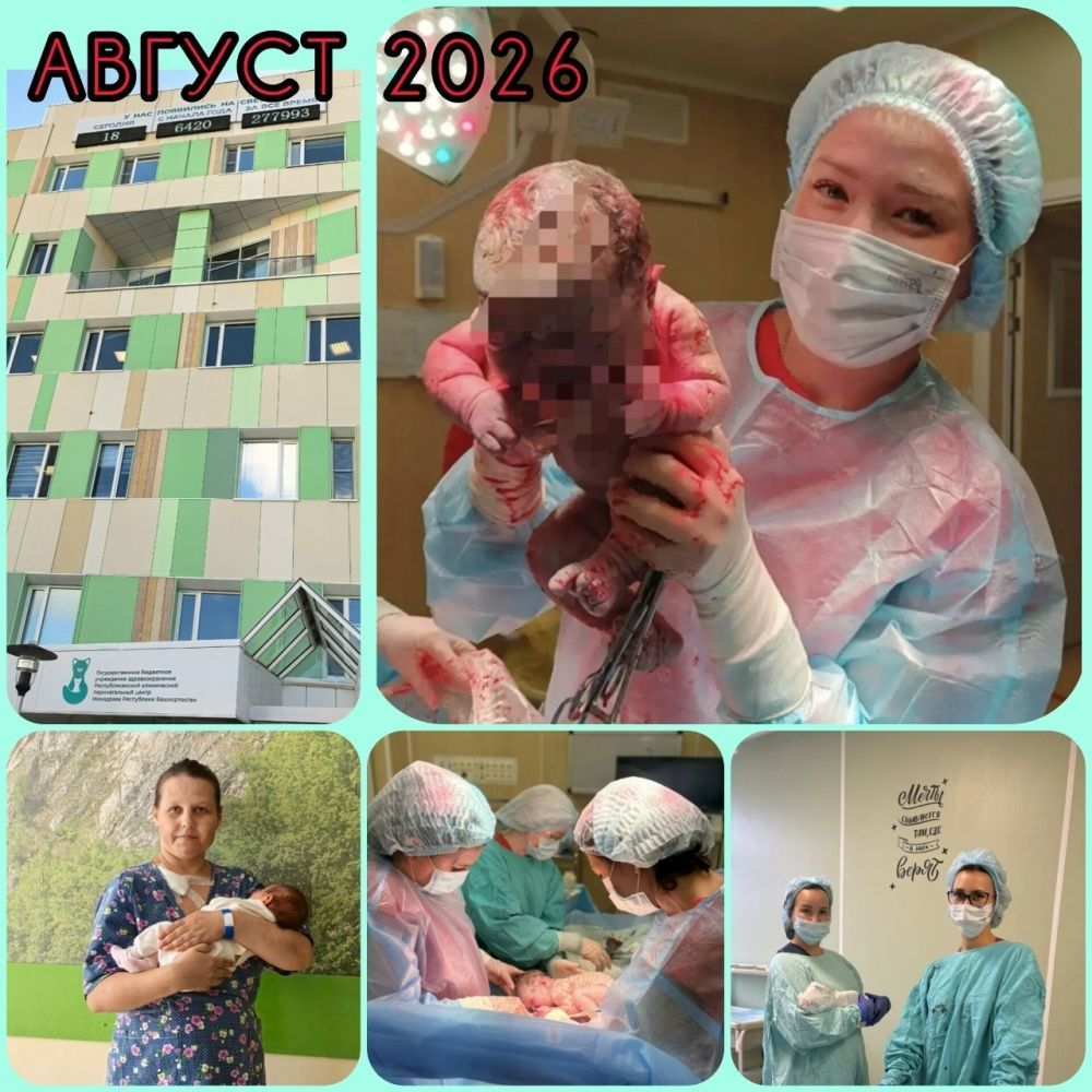 Август 2026 в РКПЦ: 962 малыша!